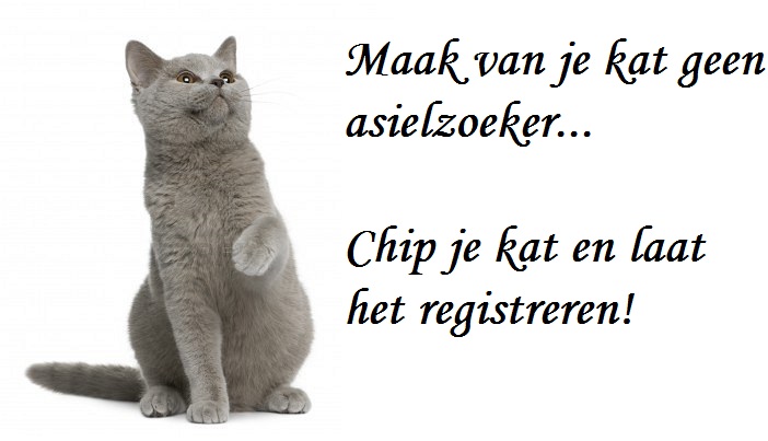 Gratis chipactie katten gemeente Utrecht